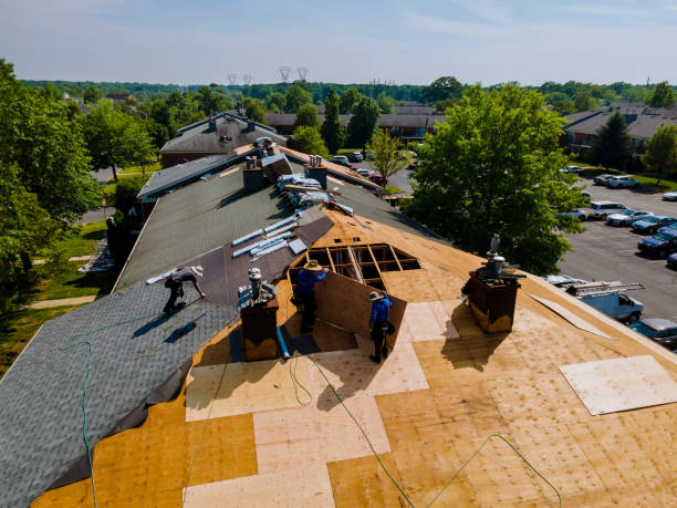 Best Gutter Installation and Roofing  in Captains Cove, VA