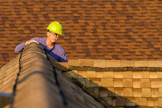 Roof Gutter Cleaning in Captains Cove, VA
